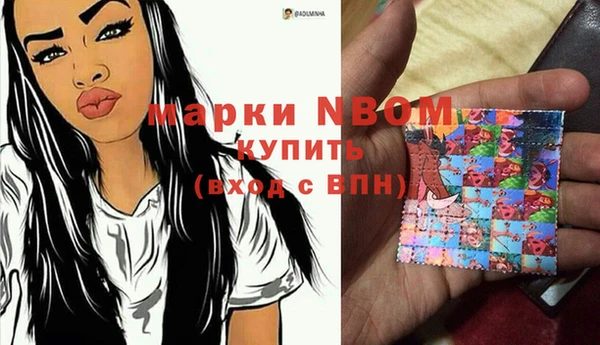 молекула духа Вяземский