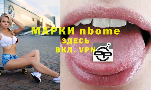 молекула духа Вяземский