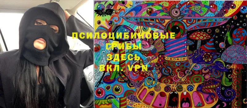 Псилоцибиновые грибы Cubensis  Катайск 